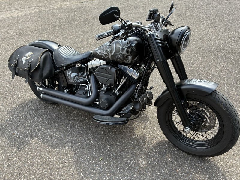 46 HD Fatboy